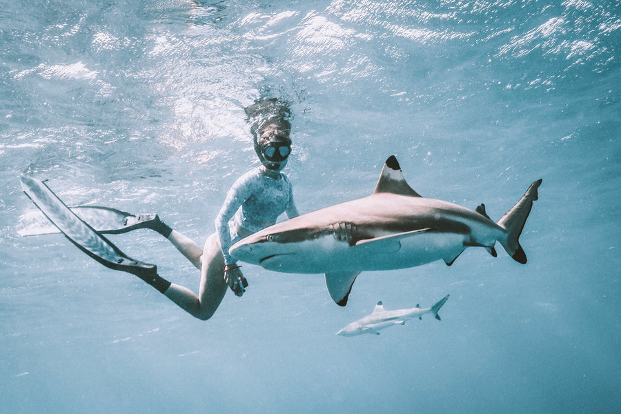 Ocean Soul ~ Emily Bourke